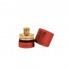 Pantheon Roma,   DOLCE  PASSIONE,   Extrait de Parfum   50 ml